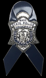 Massachusetts State Police Blue Ribbon Lapel Pin Silver
